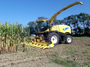 Ensilage de maïs