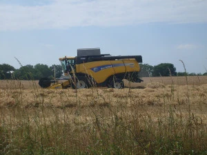 Moisson